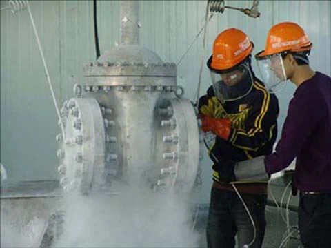 Cryogenic test