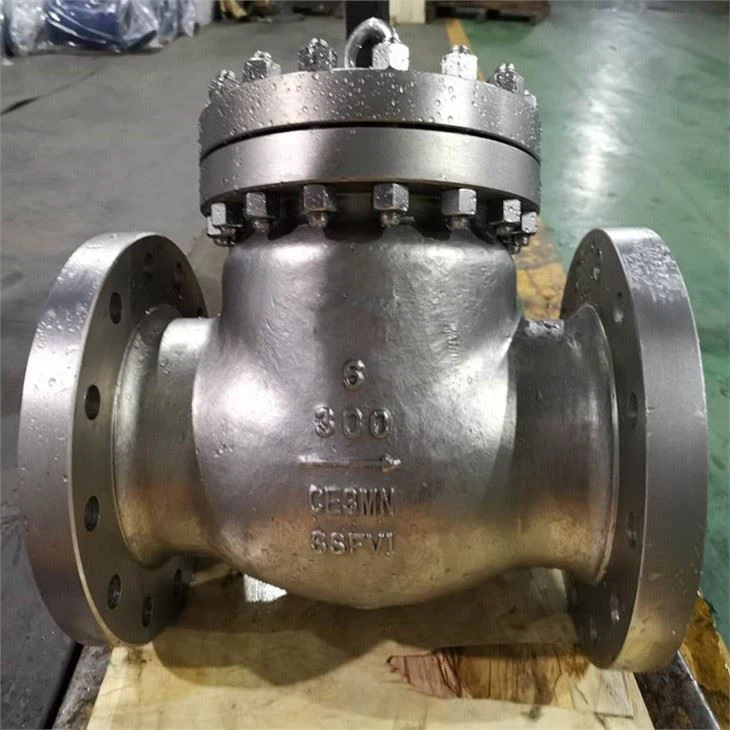 Duplex Check Valve